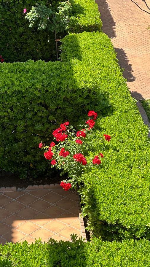 La Rosaleda 17 Daire Denia Dış mekan fotoğraf