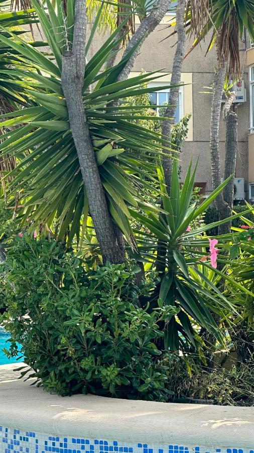 La Rosaleda 17 Daire Denia Dış mekan fotoğraf