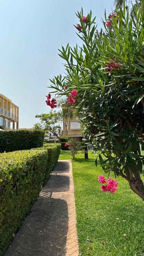 La Rosaleda 17 Daire Denia Dış mekan fotoğraf